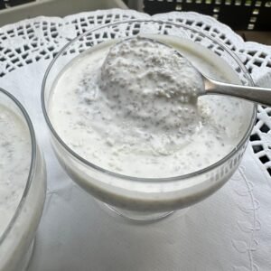 DÊGUÊ (Fait maison)